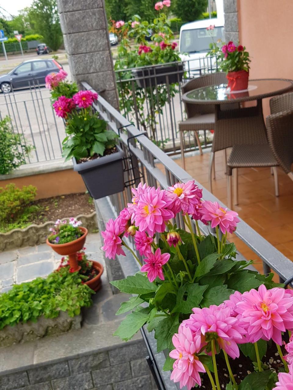 Villa Rosina Rho Dış mekan fotoğraf