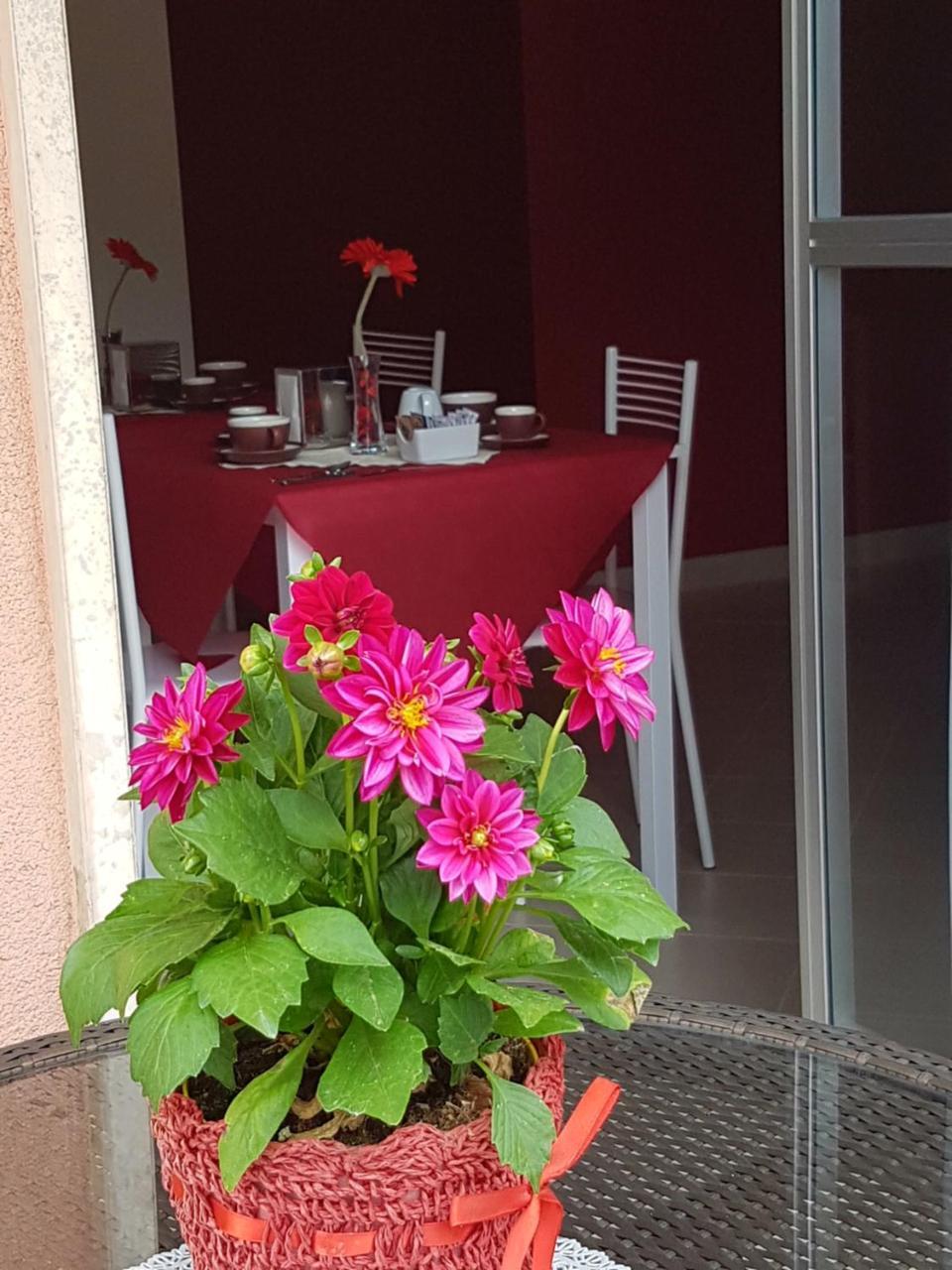 Villa Rosina Rho Dış mekan fotoğraf